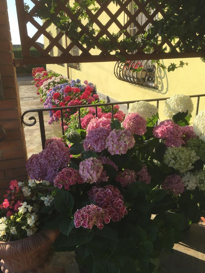 Albergo Il Gufo Parma Exteriör bild